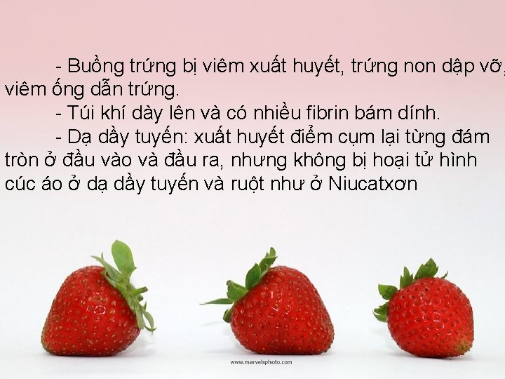  Buồng trứng bị viêm xuất huyết, trứng non dập vỡ, viêm ống dẫn