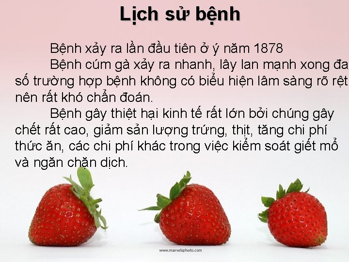 Lịch sử bệnh Bệnh xảy ra lần đầu tiên ở ý năm 1878 Bệnh