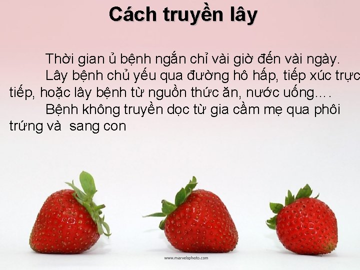 Cách truyền lây Thời gian ủ bệnh ngắn chỉ vài giờ đến vài ngày.