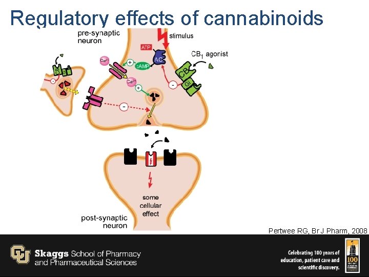 Regulatory effects of cannabinoids Pertwee RG, Br J Pharm, 2008 