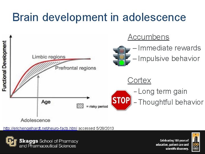 Brain development in adolescence Accumbens – Immediate rewards – Impulsive behavior Cortex – Long