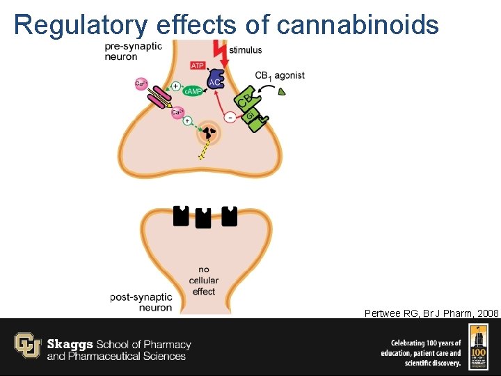 Regulatory effects of cannabinoids Pertwee RG, Br J Pharm, 2008 