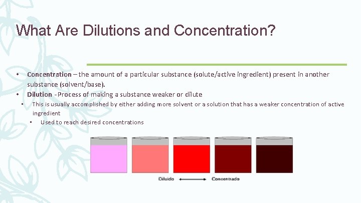 What Are Dilutions and Concentration? Concentration – the amount of a particular substance (solute/active