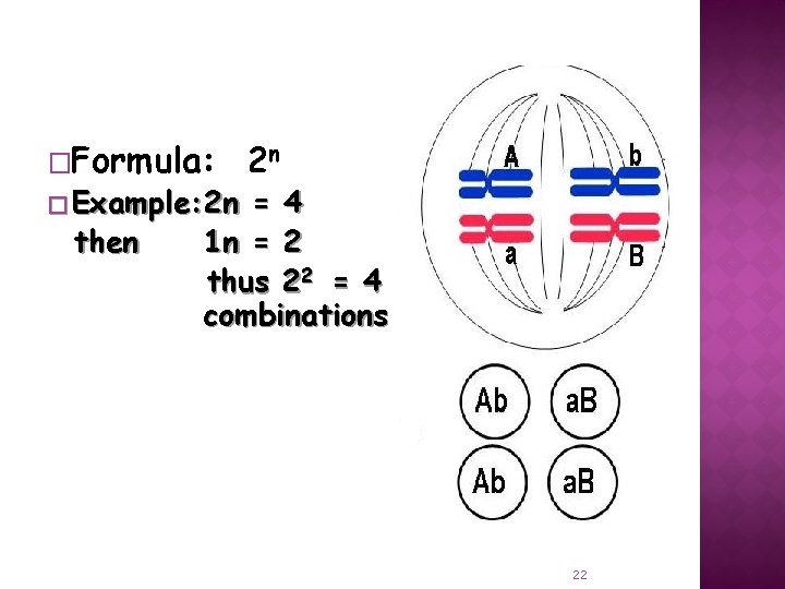 �Formula: � Example: 2 n then 2 n = 4 1 n = 2