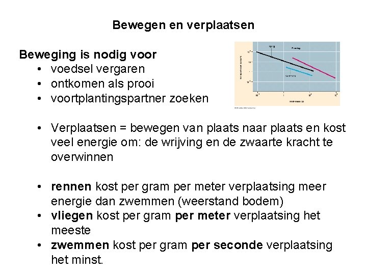 Bewegen en verplaatsen Beweging is nodig voor • voedsel vergaren • ontkomen als prooi