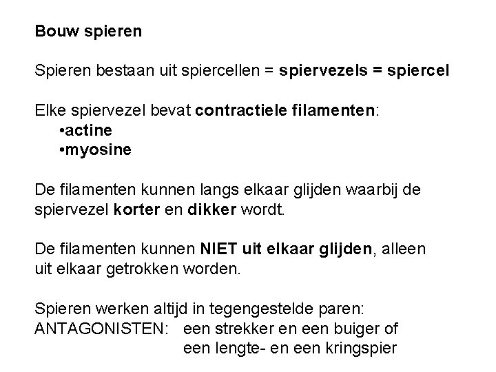 Bouw spieren Spieren bestaan uit spiercellen = spiervezels = spiercel Elke spiervezel bevat contractiele