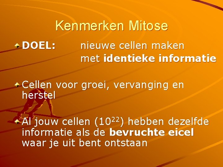 Kenmerken Mitose DOEL: nieuwe cellen maken met identieke informatie Cellen voor groei, vervanging en