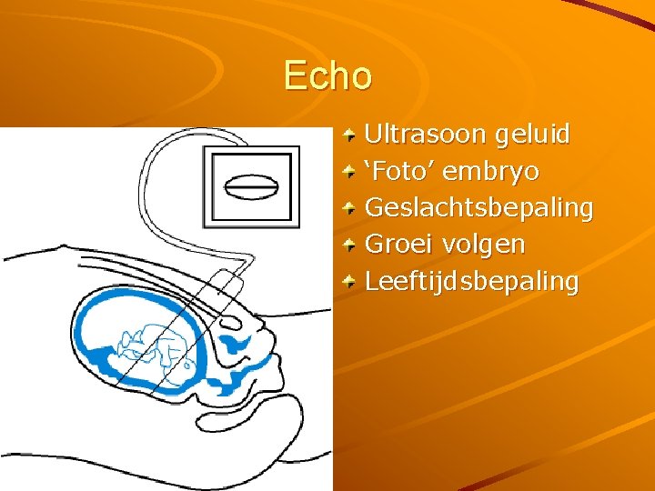 Echo Ultrasoon geluid ‘Foto’ embryo Geslachtsbepaling Groei volgen Leeftijdsbepaling 