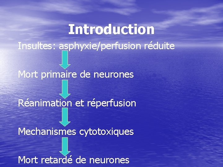 Introduction Insultes: asphyxie/perfusion réduite Mort primaire de neurones Réanimation et réperfusion Mechanismes cytotoxiques Mort