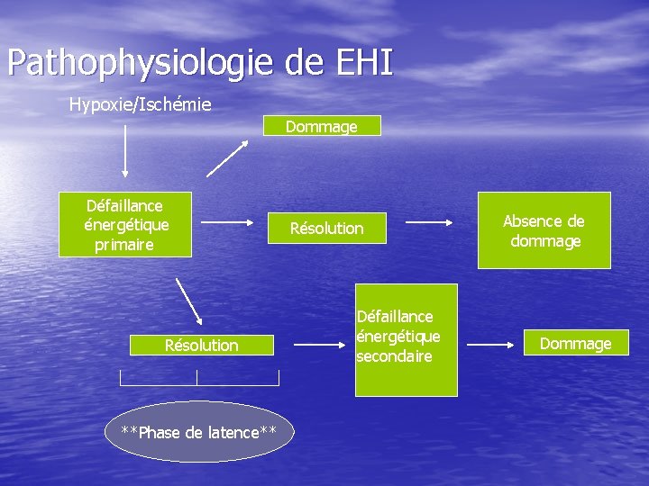 Pathophysiologie de EHI Hypoxie/Ischémie Dommage Défaillance énergétique primaire Résolution **Phase de latence** Résolution Défaillance