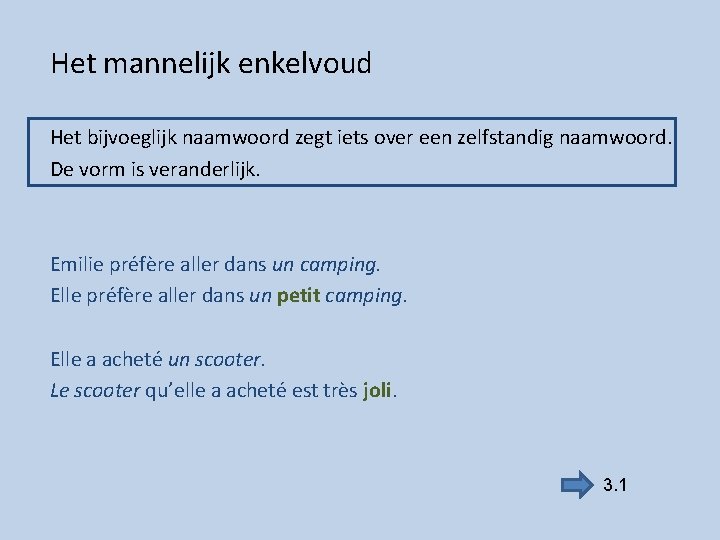 Het mannelijk enkelvoud Het bijvoeglijk naamwoord zegt iets over een zelfstandig naamwoord. De vorm