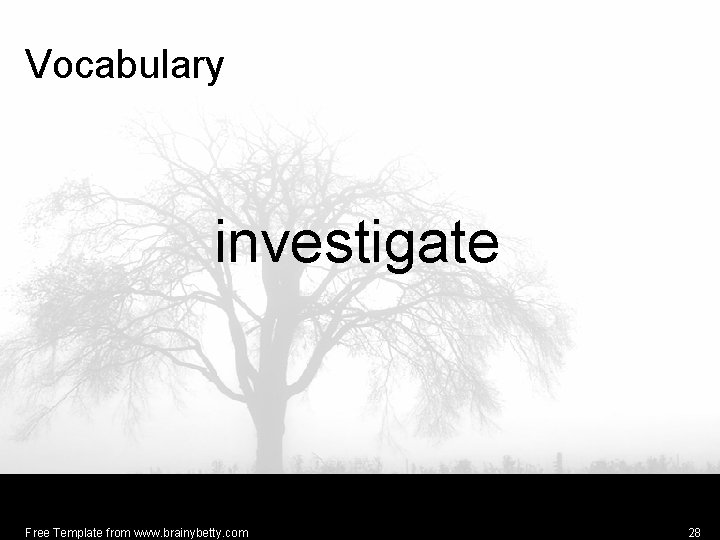 Vocabulary investigate Free Template from www. brainybetty. com 28 