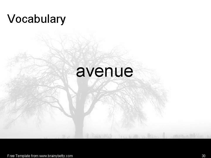 Vocabulary avenue Free Template from www. brainybetty. com 30 