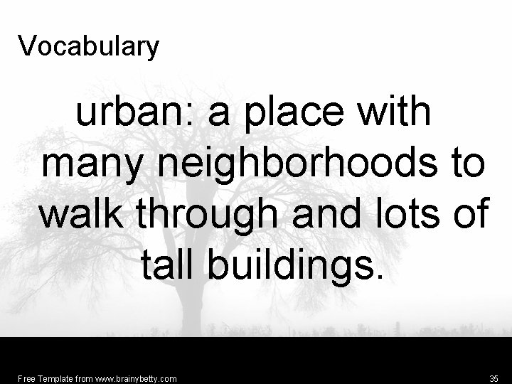 Vocabulary urban: a place with many neighborhoods to walk through and lots of tall