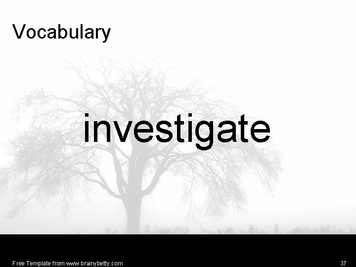 Vocabulary investigate Free Template from www. brainybetty. com 37 