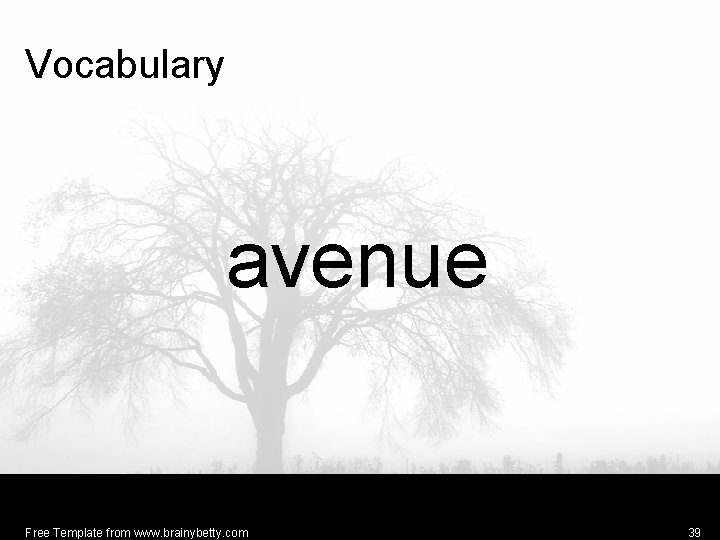 Vocabulary avenue Free Template from www. brainybetty. com 39 