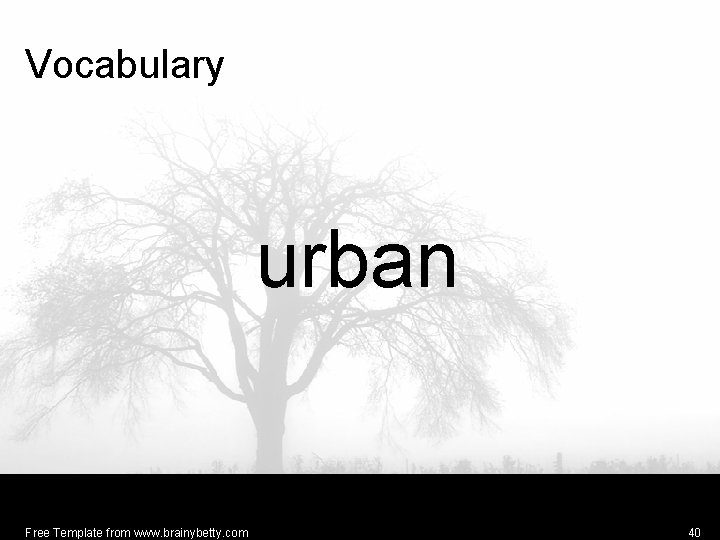 Vocabulary urban Free Template from www. brainybetty. com 40 