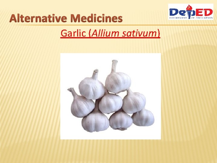 Alternative Medicines Garlic (Allium sativum) 