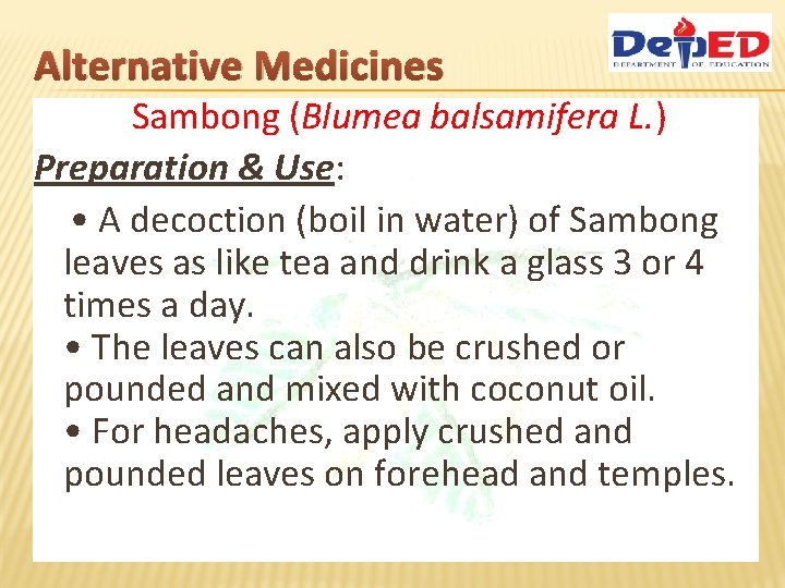 Alternative Medicines Sambong (Blumea balsamifera L. ) Preparation & Use: • A decoction (boil