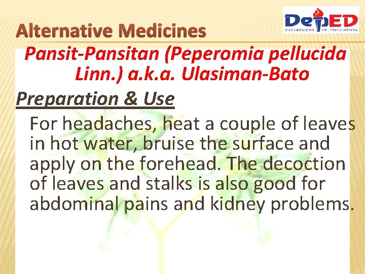 Alternative Medicines Pansit-Pansitan (Peperomia pellucida Linn. ) a. k. a. Ulasiman-Bato Preparation & Use
