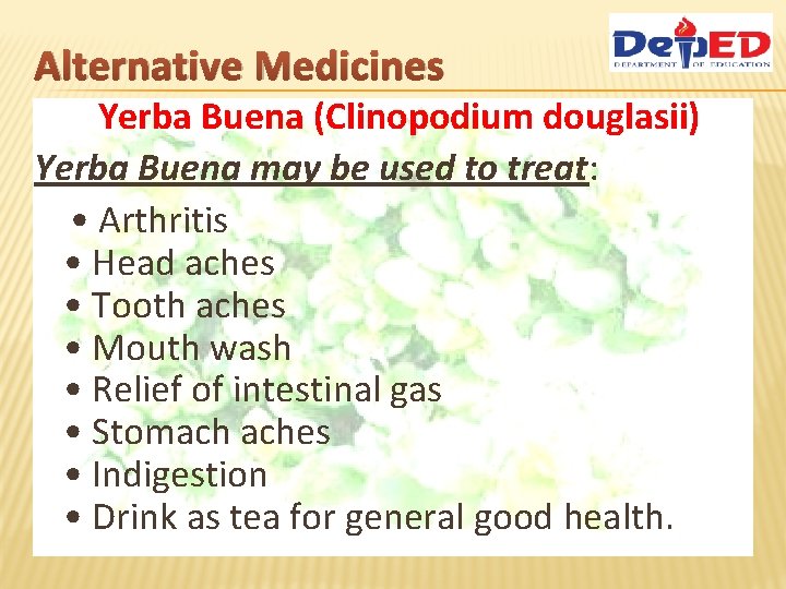 Alternative Medicines Yerba Buena (Clinopodium douglasii) Yerba Buena may be used to treat: •