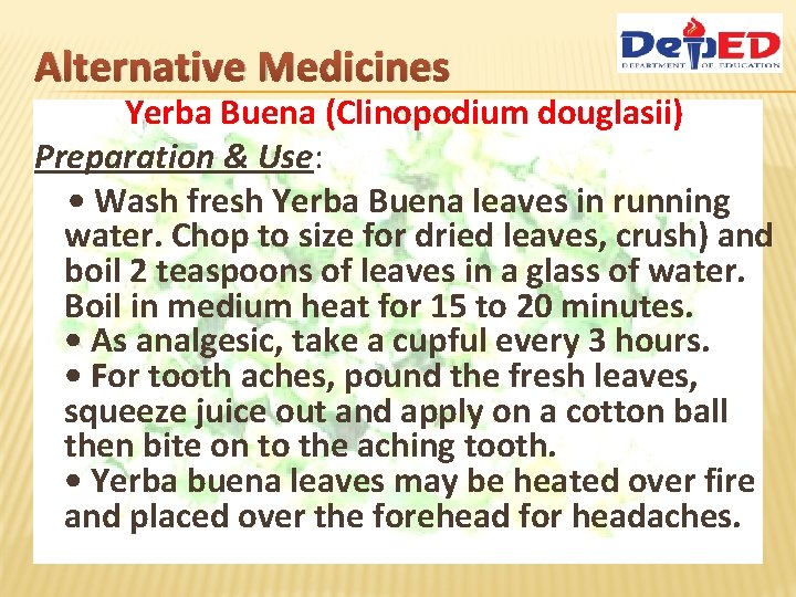 Alternative Medicines Yerba Buena (Clinopodium douglasii) Preparation & Use: • Wash fresh Yerba Buena