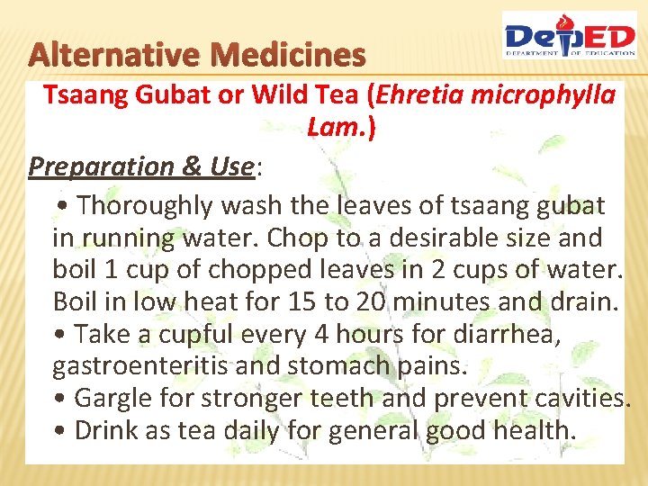 Alternative Medicines Tsaang Gubat or Wild Tea (Ehretia microphylla Lam. ) Preparation & Use: