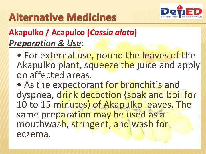 Alternative Medicines Akapulko / Acapulco (Cassia alata) Preparation & Use: • For external use,