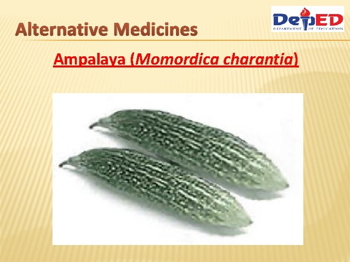 Alternative Medicines Ampalaya (Momordica charantia) 