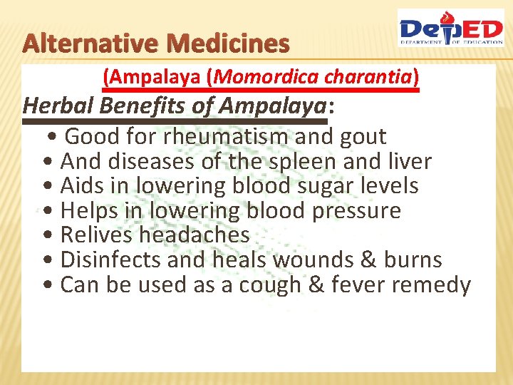 Alternative Medicines (Ampalaya (Momordica charantia) Herbal Benefits of Ampalaya: • Good for rheumatism and
