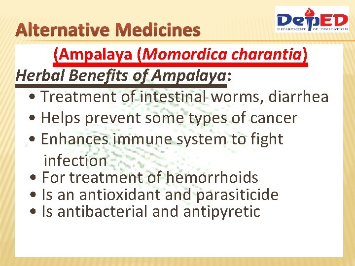 Alternative Medicines (Ampalaya (Momordica charantia) Herbal Benefits of Ampalaya: • Treatment of intestinal worms,
