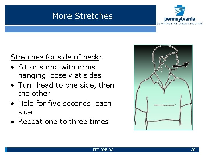 More Stretches for side of neck: • Sit or stand with arms hanging loosely