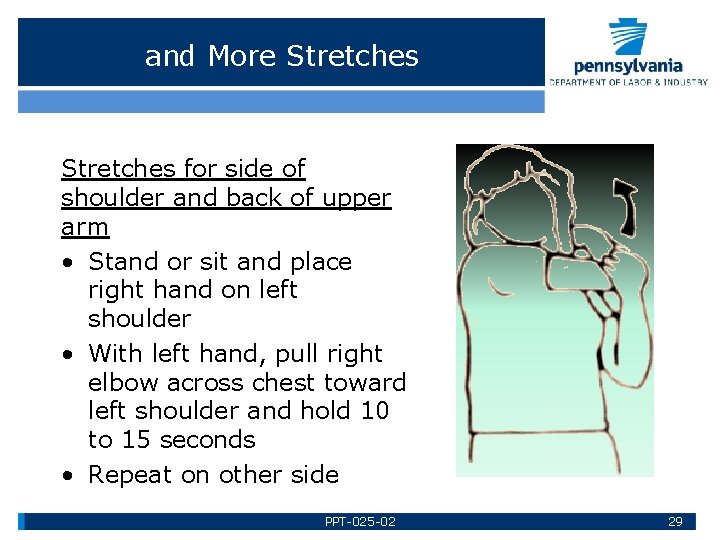 and More Stretches for side of shoulder and back of upper arm • Stand