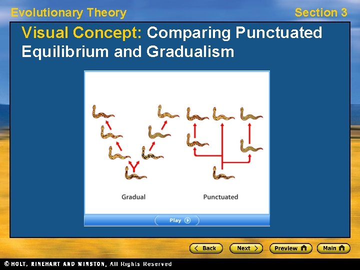 Evolutionary Theory Section 3 Visual Concept: Comparing Punctuated Equilibrium and Gradualism Evolutionary Theory Section 3 Visual Concept: Comparing Punctuated Equilibrium and Gradualism