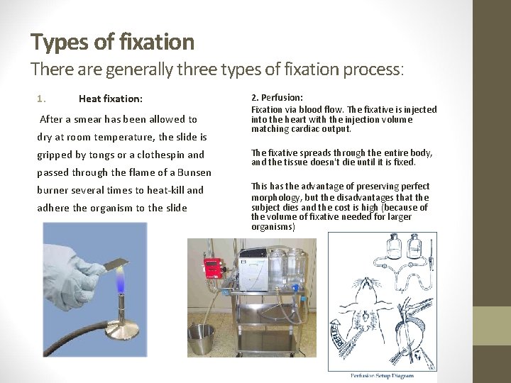 Types of fixation There are generally three types of fixation process: 1. Heat fixation: