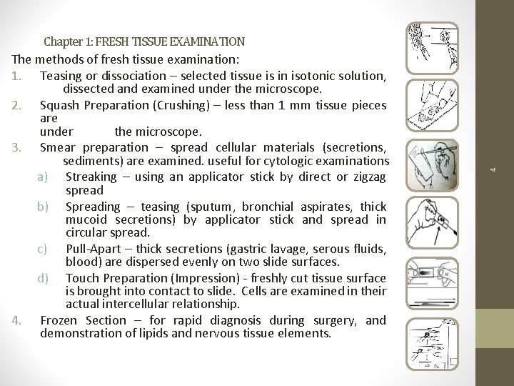 The methods of fresh tissue examination: 1. Teasing or dissociation – selected tissue is