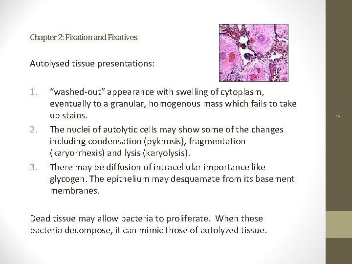 Chapter 2: Fixation and Fixatives 1. 2. 3. “washed-out” appearance with swelling of cytoplasm,