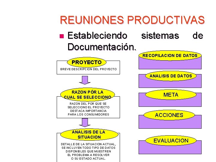 REUNIONES PRODUCTIVAS n Estableciendo sistemas Documentación. de RECOPILACION DE DATOS PROYECTO BREVE DESCRIPCION DEL