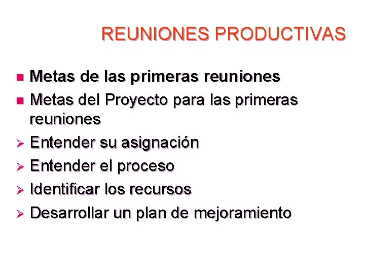 REUNIONES PRODUCTIVAS Metas de las primeras reuniones n Metas del Proyecto para las primeras
