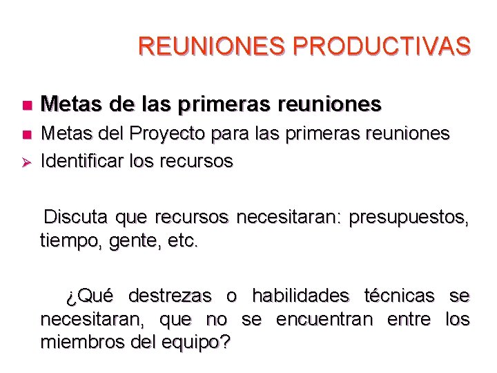 REUNIONES PRODUCTIVAS n Metas de las primeras reuniones n Metas del Proyecto para las