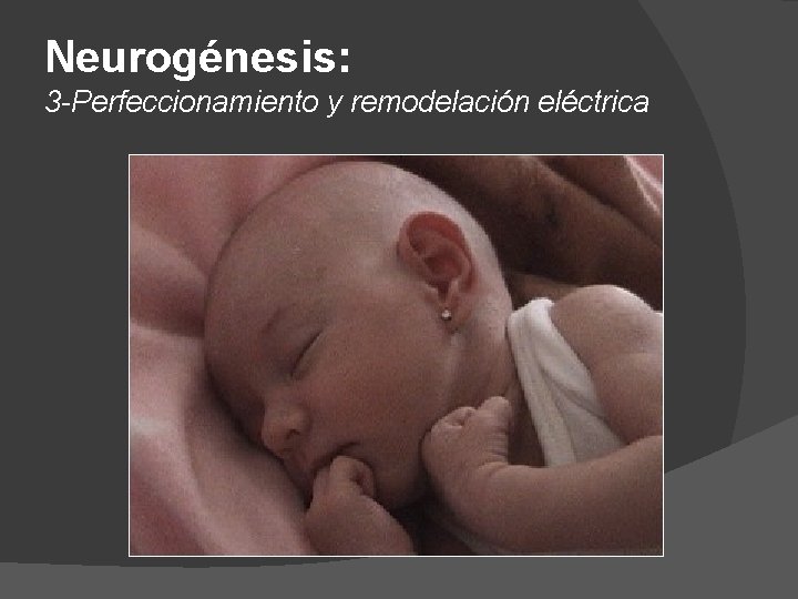 Neurogénesis: 3 -Perfeccionamiento y remodelación eléctrica 