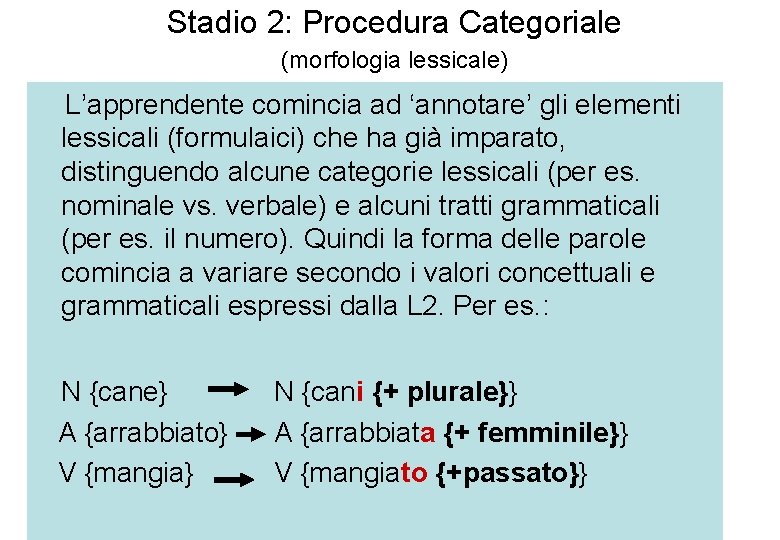 Stadio 2: Procedura Categoriale (morfologia lessicale) L’apprendente comincia ad ‘annotare’ gli elementi lessicali (formulaici)