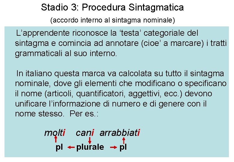 Stadio 3: Procedura Sintagmatica (accordo interno al sintagma nominale) L’apprendente riconosce la ‘testa’ categoriale