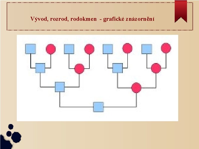 Vývod, rozrod, rodokmen - grafické znázornění 