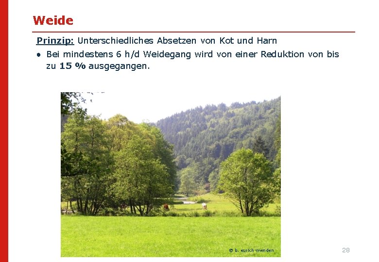 Weide Prinzip: Unterschiedliches Absetzen von Kot und Harn ● Bei mindestens 6 h/d Weidegang