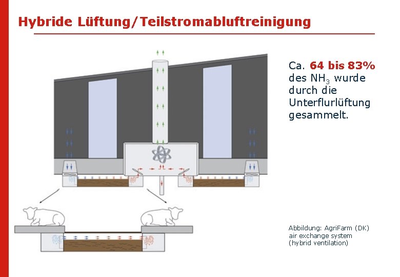 Hybride Lüftung/Teilstromabluftreinigung Ca. 64 bis 83% des NH 3 wurde durch die Unterflurlüftung gesammelt.