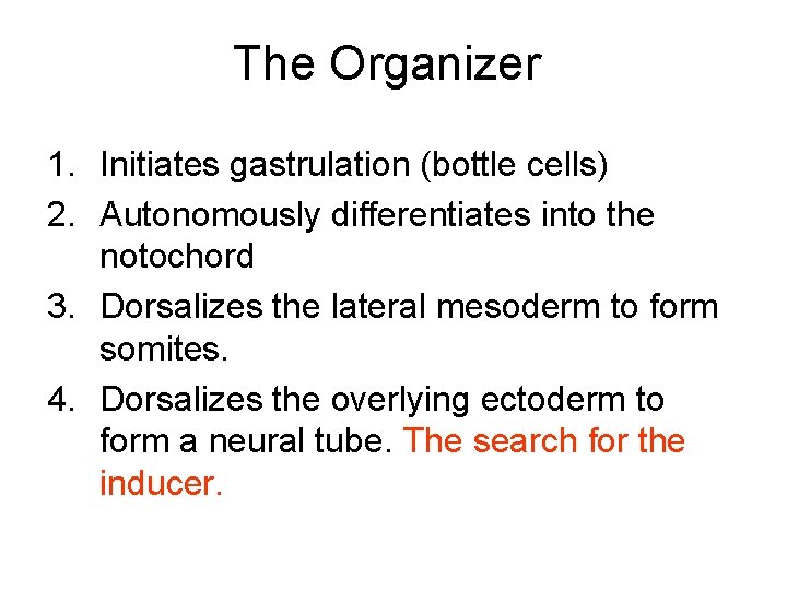 The Organizer 1. Initiates gastrulation (bottle cells) 2. Autonomously differentiates into the notochord 3.