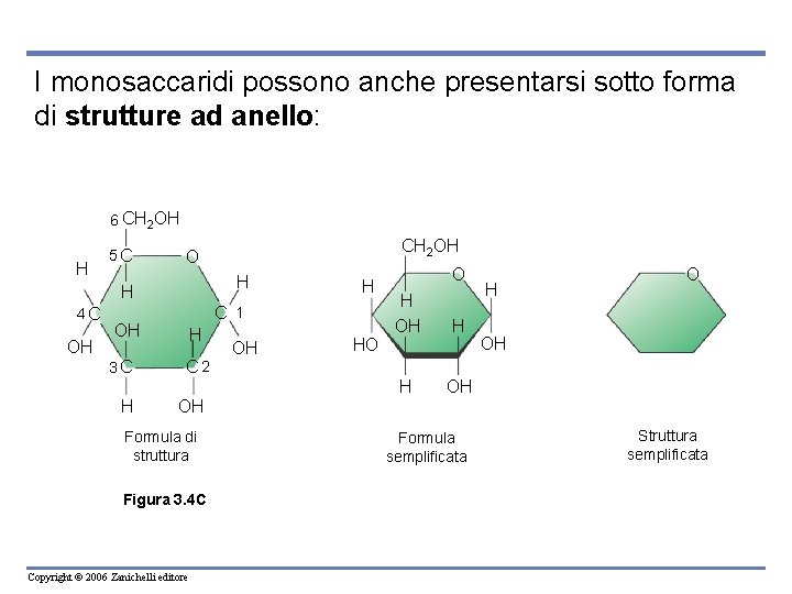I monosaccaridi possono anche presentarsi sotto forma di strutture ad anello: 6 CH 2