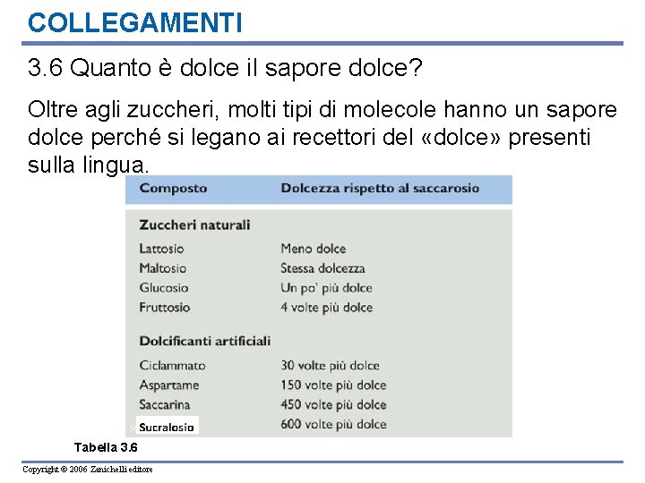 COLLEGAMENTI 3. 6 Quanto è dolce il sapore dolce? Oltre agli zuccheri, molti tipi