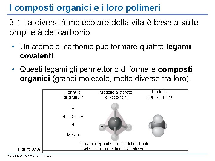 I composti organici e i loro polimeri 3. 1 La diversità molecolare della vita